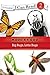 Big Bugs, Little Bugs (Zonderkidz I Can Read! Level 2)