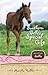 Southern Belle's Special Gift (Keystone Stables #3)