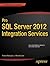 Pro SQL Server 2012 Integration Services (Expert's Voice in SQL Server)
