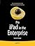 Pro iPad in the Enterprise