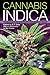 Cannabis Indica Volume 2: T...
