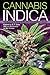 Cannabis Indica Volume 2 by S.T. Oner