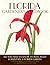 Florida Gardener's Handbook...