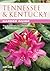 Tennessee & Kentucky Garden Guide by Judy Lowe