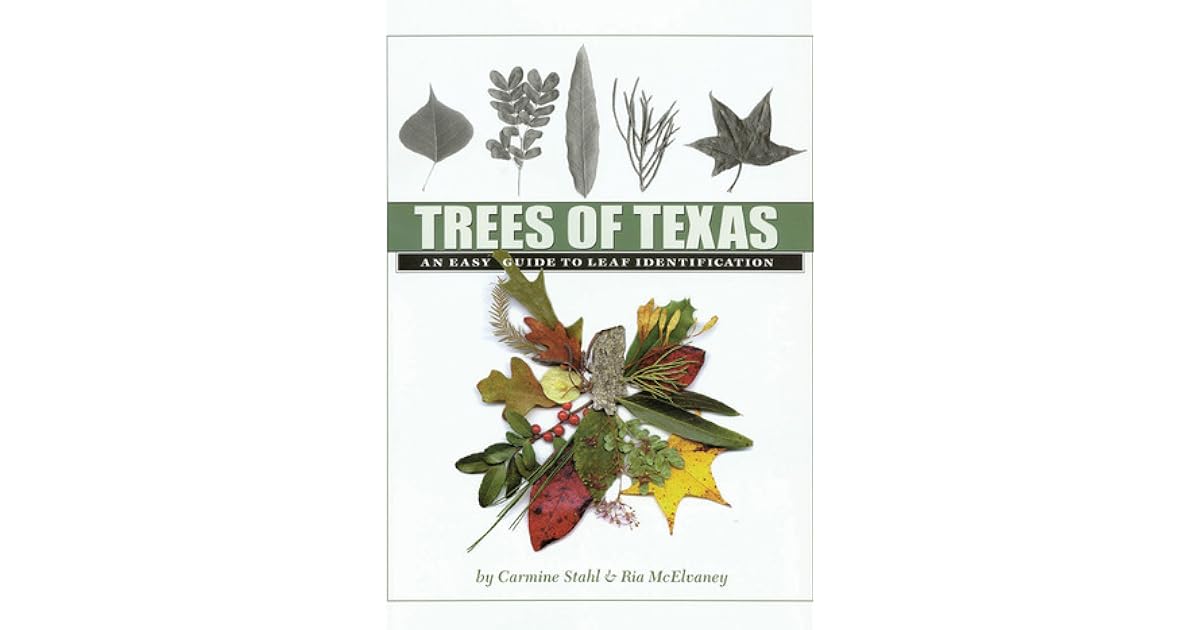 Trees of Texas An Easy Guide to Leaf Identification by Carmine A. Stahl
