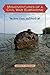 Misadventures of a Civil War Submarine: Iron, Guns, and Pearls (Ed Rachal Foundation Nautical Archaeology Series)