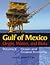 Gulf of Mexico Origin, Waters, and Biota: Volume 2, Ocean and Coastal Economy (Harte Research Institute for Gulf of Mexico Studies Series, Sponsored ... Studies, Texas A&M University-Corpus Christi)