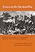 Essays on the Mexican War (Volume 20) (Walter Prescott Webb Memorial Lectures, published for the University of Texas at Arlington by Texas A&M University Press)