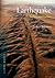 Earthquake: Nature and Culture