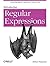 Introducing Regular Expressions by Michael J.  Fitzgerald