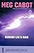 Quando Cai o Raio (Desaparecidos, #1)