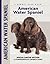 American Water Spaniel by Paul R. Morrison