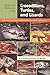 Guide and Reference to the Crocodilians, Turtles, and Lizards of Eastern and Central North America (North of Mexico)