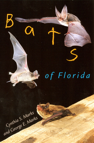 Bats of Florida (Paperback)