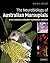 The Neurobiology of Australian Marsupials: Brain Evolution in the Other Mammalian Radiation