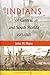 Indians of Central and South Florida, 1513-1763 (Florida Museum of Natural History: Ripley P. Bullen Series)