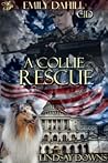 A Collie Rescue
