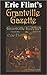 Grantville Gazette, Volume 8 by Eric Flint