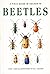 Beetles