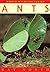 Ants