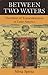 Between Two Waters: Narratives of Transculturation in Latin America