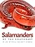 Salamanders of the Southeas...