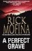 A Perfect Grave (Jason Wade, #3)