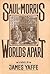 Saul and Morris, worlds apart: A novel
