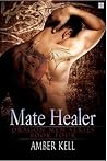 Mate Healer by Amber Kell