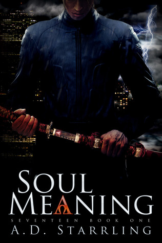 Soul Meaning (Seventeen, #1)