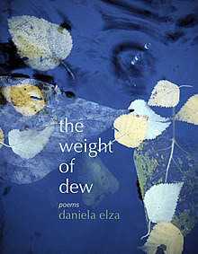the weight of dew (Paperback)