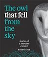 The Owl that Fell...