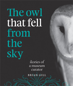 The Owl that Fell from the Sky - Stories of a Museum Curator (Paperback)