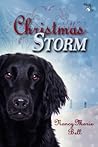 Christmas Storm by Nancy Marie Bell