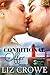 Conditional Offer (Stewart Realty, #5)