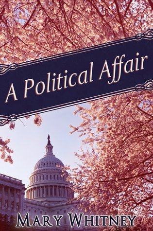 A Political Affair (Paperback)