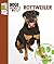 Rottweiler (Animal Planet Dogs 101)
