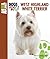 West Highland White Terrier...