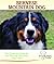 Bernese Mountain Dog by Linda Rehkopf