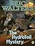 The Hydrofoil Mystery by Eric Walters