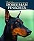 Doberman Pinscher