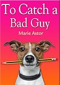 To Catch a Bad Guy