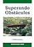 Superando Obstáculos by Yoshihico Iuassaca