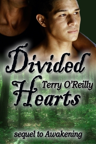 Divided Hearts (Paperback)