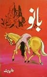 Bano / بانو by Razia Butt