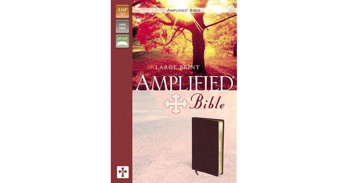 Amplified, Bible, Large Print, Bonded Leather, Burgundy, Lay Flat by