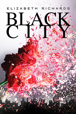 Black City Black City 1 By Elizabeth Richards