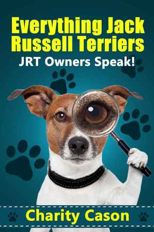 Everything Jack Russell Terriers