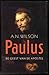 Paulus: De geest van de apostel
