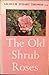 Old Shrub Roses by Graham Stuart Thomas
